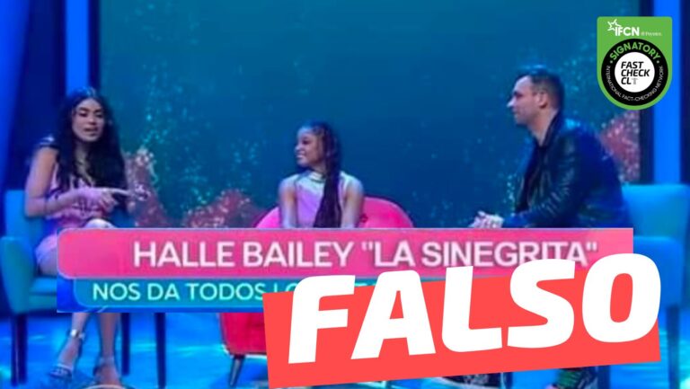 Halle Bailey La sinegrita