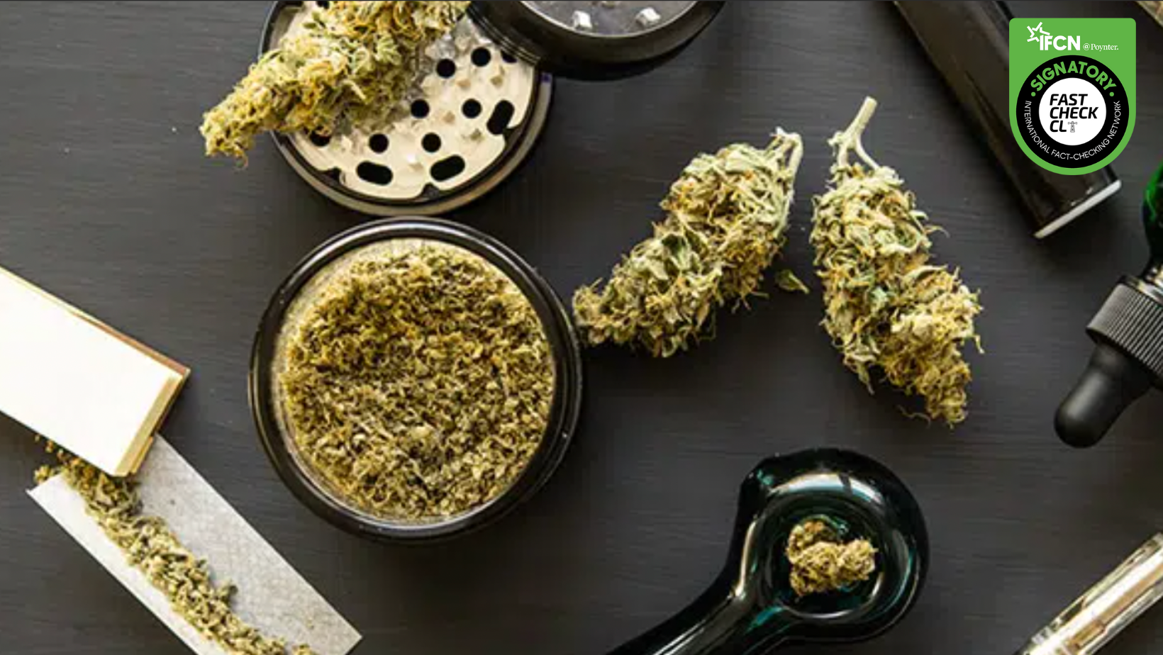 You are currently viewing Estudio con más de 6 millones de personas afirma que marihuana aumenta 4 veces el riesgo de tener trastorno bipolar psicótico