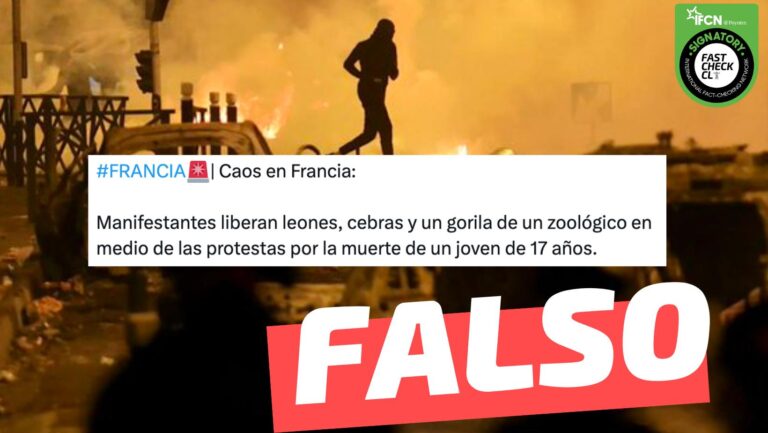 Read more about the article (Videos) “Caos en Francia: manifestantes liberan leones, cebras y un gorila de un zoológico en medio de las protestas”: #Falso