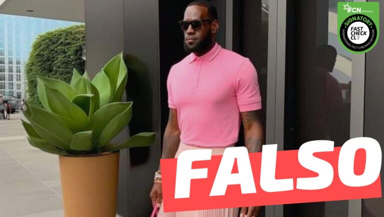 Read more about the article (Imagen) “LeBron James, listo para ver Barbie”: #Falso