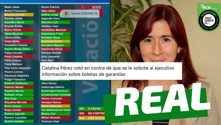 Read more about the article Catalina Pérez votó en contra de solicitud que pide las copias de las boletas de garantía de todos los recursos asignados a fundaciones: #Real