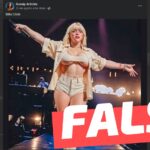 Imagen de Billie Eilish en un concierto: #Falso