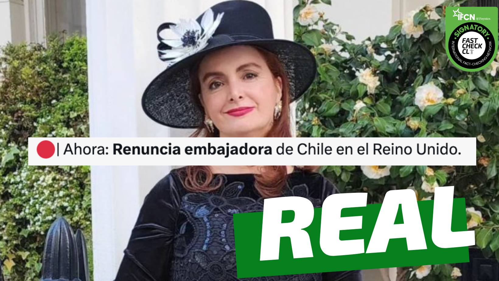 You are currently viewing Renuncia embajadora de Chile en Reino Unido tras polémica por proyecto presentado al Gore Biobío: #Real