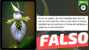 Read more about the article (Imagen) “No es un pájaro, es una orquídea que solo se ve en Asia”: #Falso