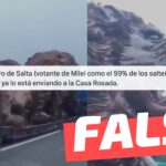 (Video) “Carpintero de Salta (votante de Milei como el 99% de los salteños) talló un león y ya lo está enviando a la Casa Rosada”: #Falso
