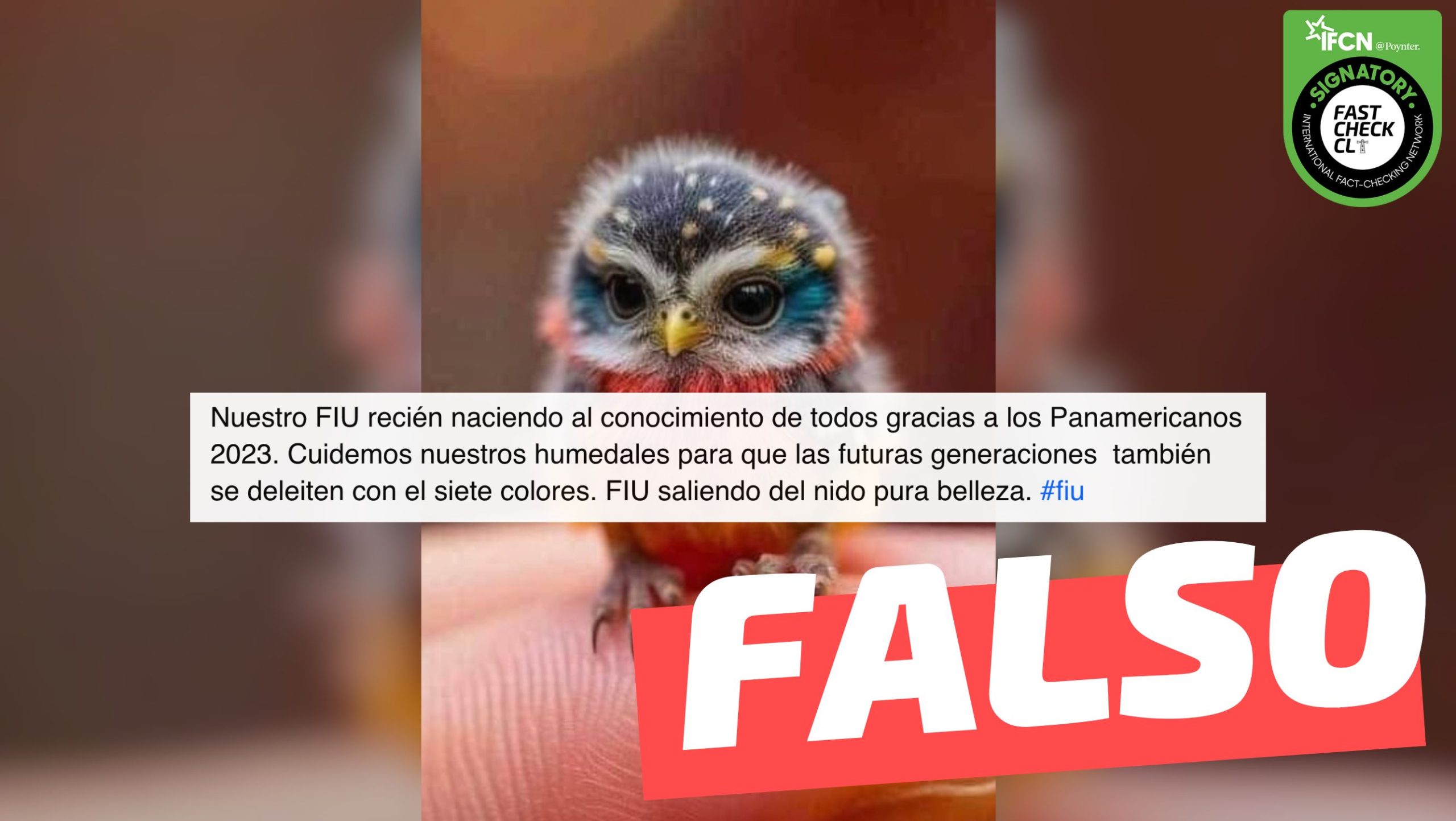 You are currently viewing (Imagen) “Nuestro Fiu recién naciendo”: #Falso