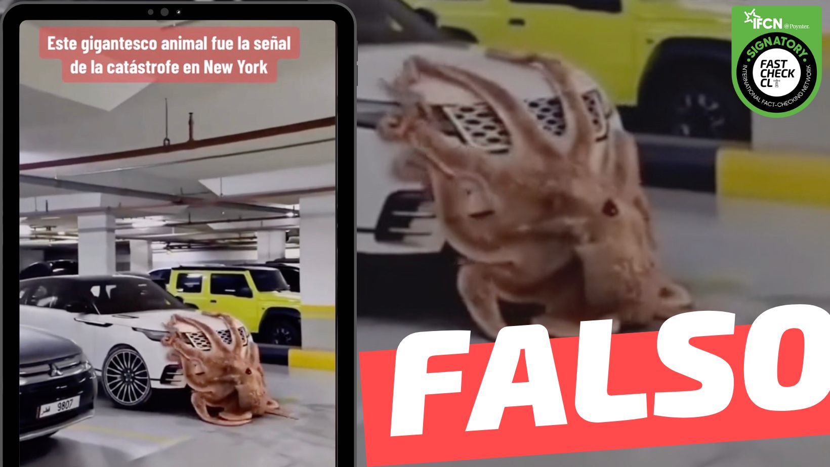 You are currently viewing (Video) “Este gigantesco animal fue la señal de la catástrofe en New York”: #Falso