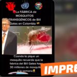 (Video) “La fábrica de mosquitos transgénicos de Bill Gates en Colombia”: #Impreciso