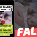 (Video) “Un gato se despide de su dueña, una niña palestina de la Franja de Gaza que falleció en ataque aéreo israelí”: #Falso