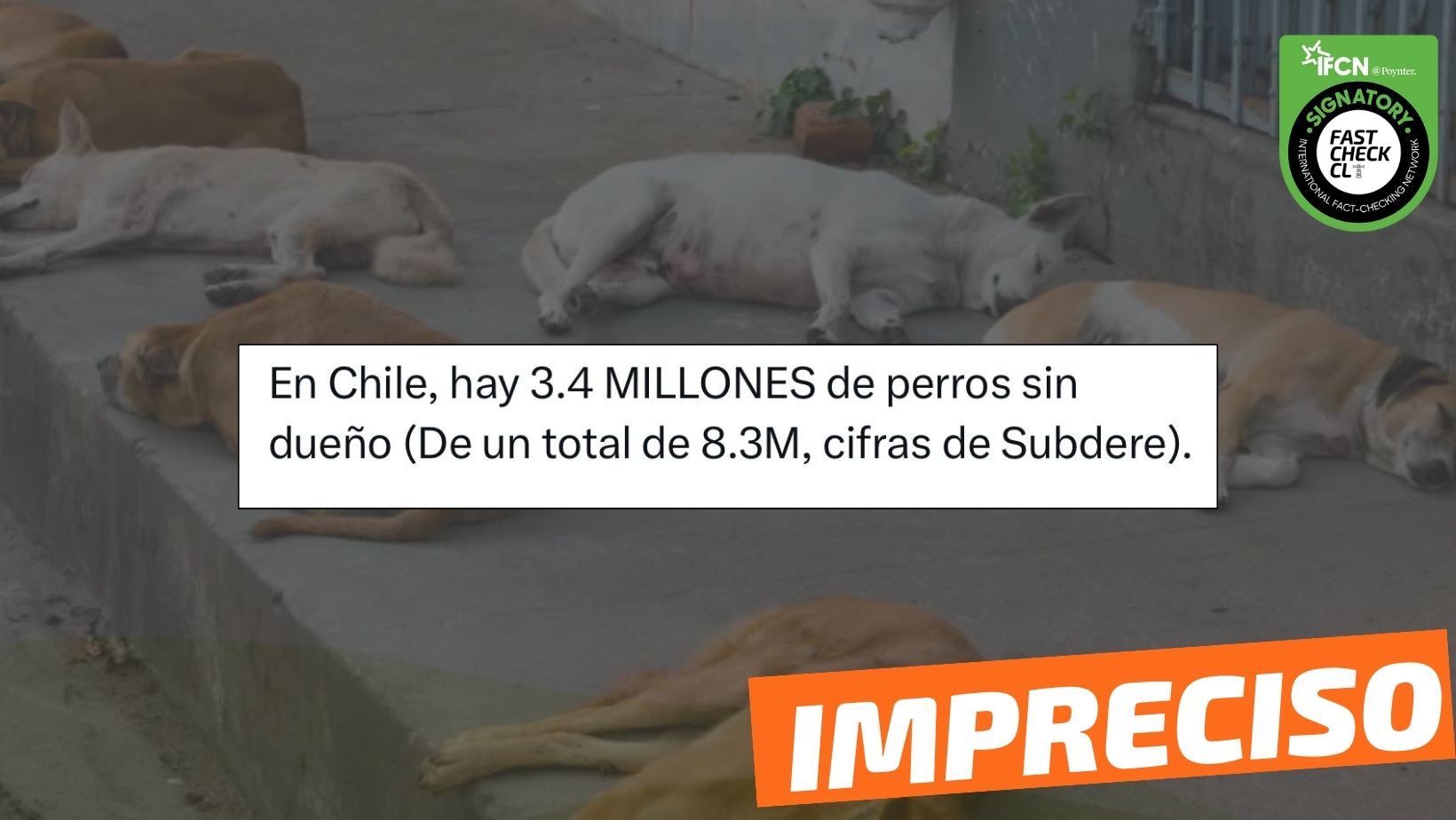 You are currently viewing “En Chile, hay 3.4 millones de perros sin dueño, de un total de 8.3 millones”: #Impreciso