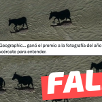 (Imagen) “National Geographic… ganó el premio a la fotografía del año con esta imagen”: #Falso