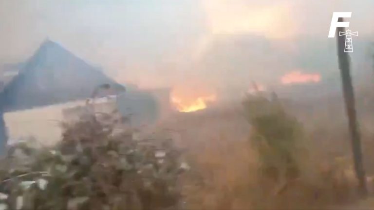 Read more about the article Alerta Roja: Se registra nuevo incendio forestal en Melipilla
