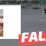 (Video) “Los camellos ahogándose debido a las lluvias torrenciales en Emiratos Árabes”: #Falso