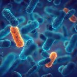 ¿Un nuevo desafío para la ciencia?: Nasa descubre “bacterias mutantes” en la Estación Espacial Internacional 