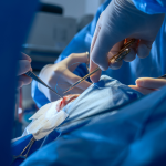 Hito Médico: entregan alta al Primer Paciente trasplantado con un riñón de cerdo modificado en Massachusetts 