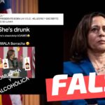 (Video) “Kamala borracha”: #Falso