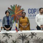 ¿Cuáles fueron las últimas determinaciones de la Cumbre mundial COP16?