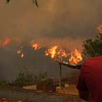 Incendios forestales han afectado 850 mil hectáreas de vegetación natural los últimos 10 años