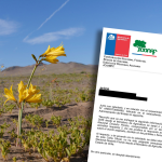 Parque Nacional Desierto Florido aún no cuenta con financiamiento a 20 meses de su creación