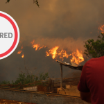 Senapred informa que 123 personas han sido detenidas por provocar incendios forestales en lo que va de esta temporada