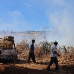 Prevención, prohibición de construir en suelo quemado y aumentar penas a involucrados: las leyes para combatir incendios que duermen en el Congreso
