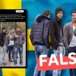 Suecia deportará a los inmigrantes que han adquirido la ciudadanía sueca pero no han logrado integrarse en la sociedad occidental: #Falso