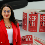 Por “omisión grave”: Servel rechaza totalidad de rendición de la campaña de alcaldesa de Lo Espejo, Javiera Reyes