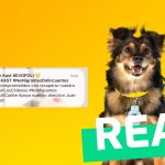 Mensajes de App de Lipigas llamando a votar por José Antonio Kast: #Real