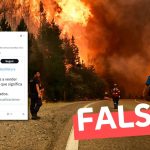 “Diputado Libertario confesó el verdadero motivo de los incendios en la Patagonia”: #Falso