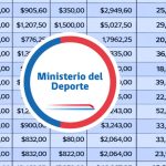 Otro ministerio más: error provocó que seremis del Deporte recibieran pago en exceso de sueldos